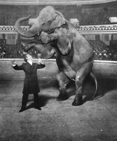 Houdini