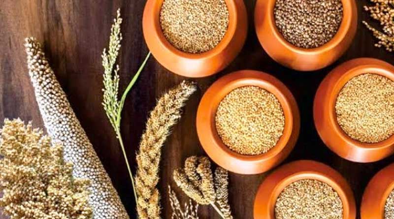 Bankura distrcict agriculture department takes initiative to produce millet in Bengal | Sangbad Pratidin