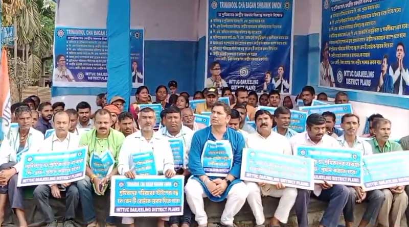 Tea garden workers in North Bengal sit in protest for their demands infront of MLAs houses | Sangbad Pratidin