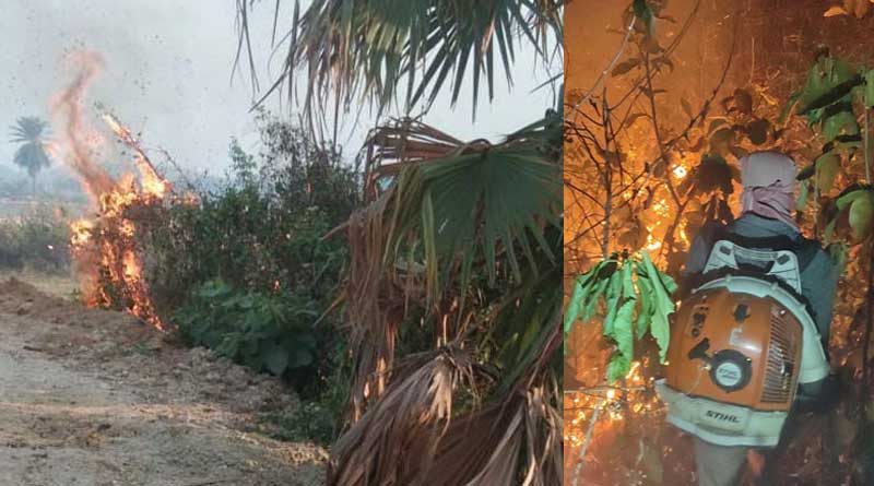 Forest workers suffering from dehydration while douse the fire in the forest of Purulia | Sangbad Pratidin