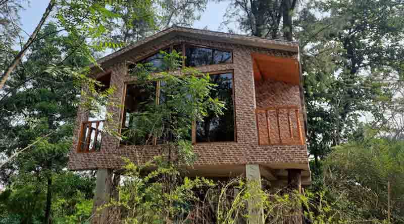 Gachbari is the new travel destination near Kolkata | Sangbad Pratidin