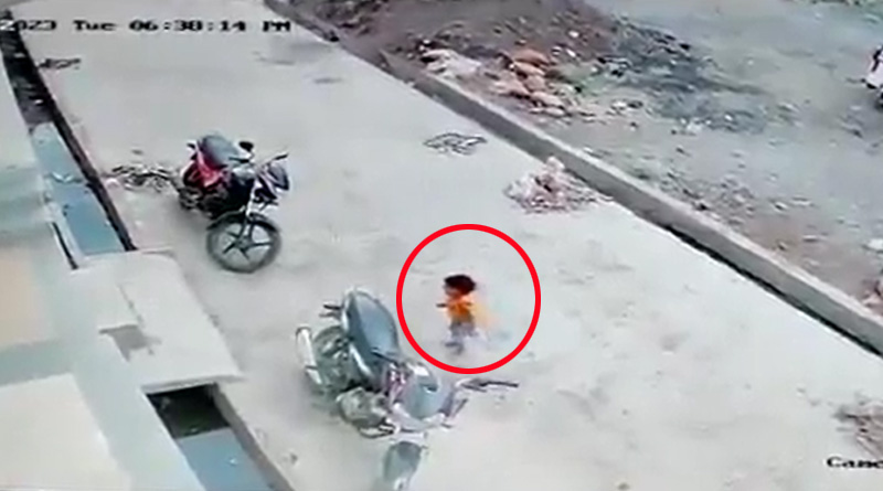 This 4 Year old Kid Falls from 30 Ft Building In Maharashtra and Gets Up And Starts Walking | Sangbad Pratidin