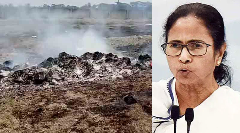 CBI may have planned Bhangar case, claims Mamata Banerjee | Sangbad Pratidin