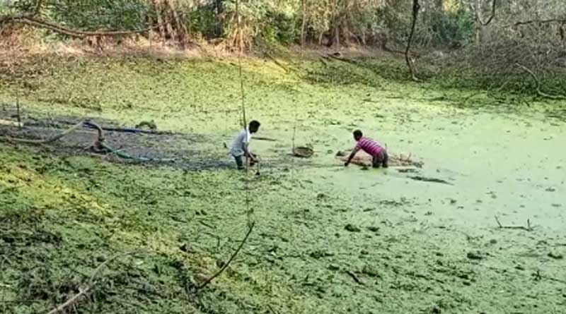 TMC worker searching MLA's mobile in pond | Sangbad Pratidin