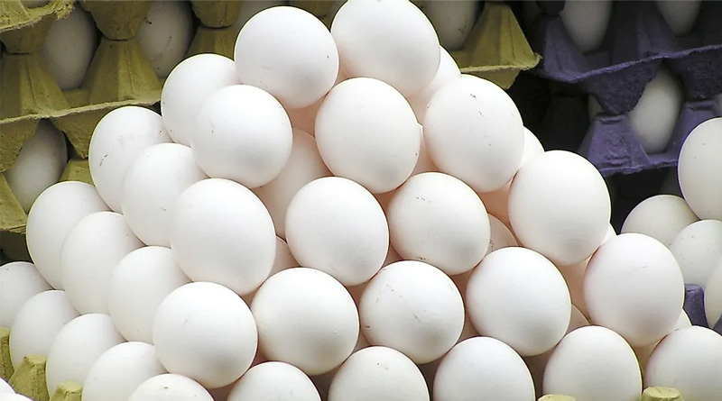 Egg price hike in Kolkata due to Migjaum cyclone | Sangbad Pratidin