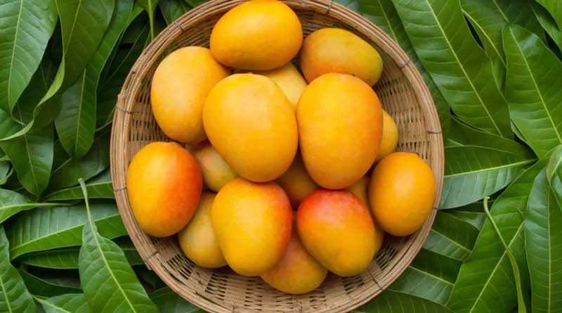 Important hacks to remove mango stains from your dress । Sangbad Pratidin