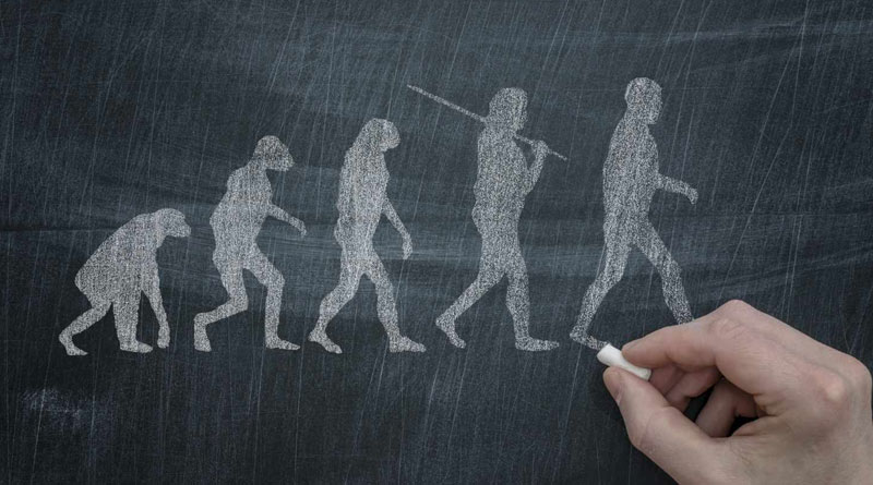 The Darwinian theory of evolution has roots stretching far back lakhs of year | Sangbad Pratidin