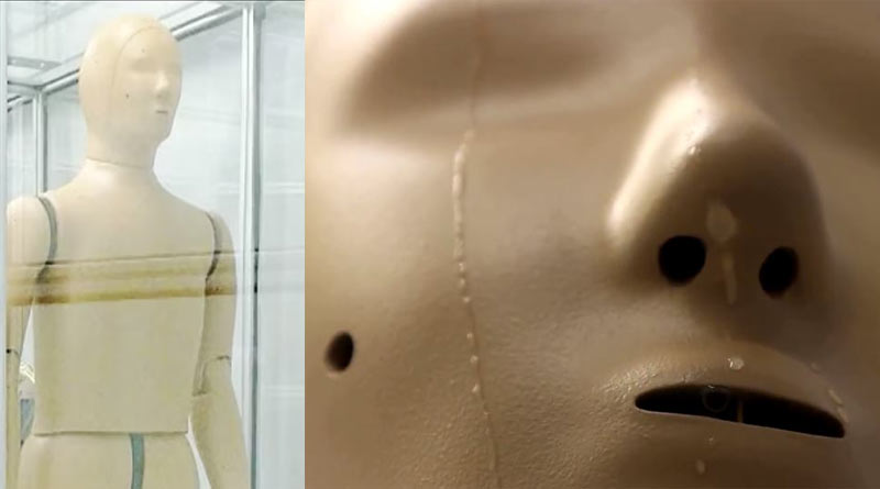 World’s first sweaty robot ANDI is capable of breathing, shivering and walking। Sangbad Pratidin