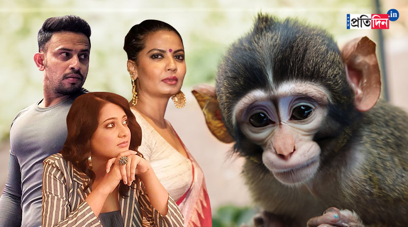 Video of monkey chained in a Kolkata nightclub goes viral, Tollywood celebs reacted | Sangbad Pratidin