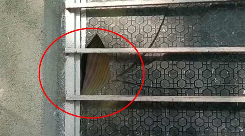 Mysterious activities sparks row in Nadia | Sangbad Pratidin