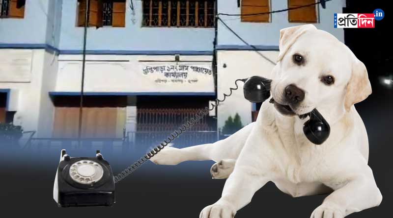 Dog 'calls' to get rescue after being stuck into Panchayat Office in Hooghly, deputy chief astonished | Sangbad Pratidin