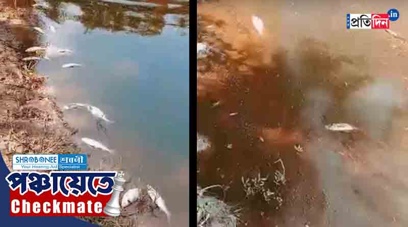 Panchayat Poll: BJP allegedly poisoned a pond of TMC polling agent in Purba Medinipur