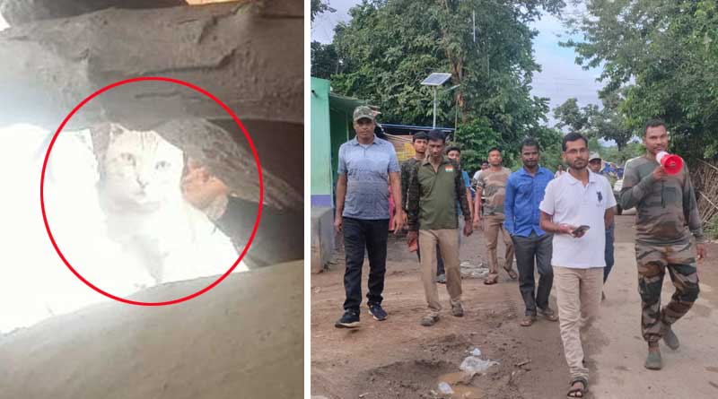 People misunderstand fishing cat as 'leopard' in Purulia, forest officers miking for allert | Sangbad Pratidin