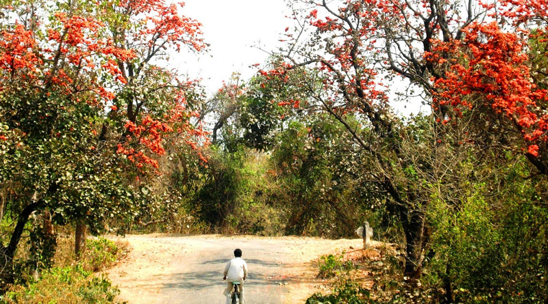 govt include new feature to promote Purulia Tourism| Sangbad Pratidin