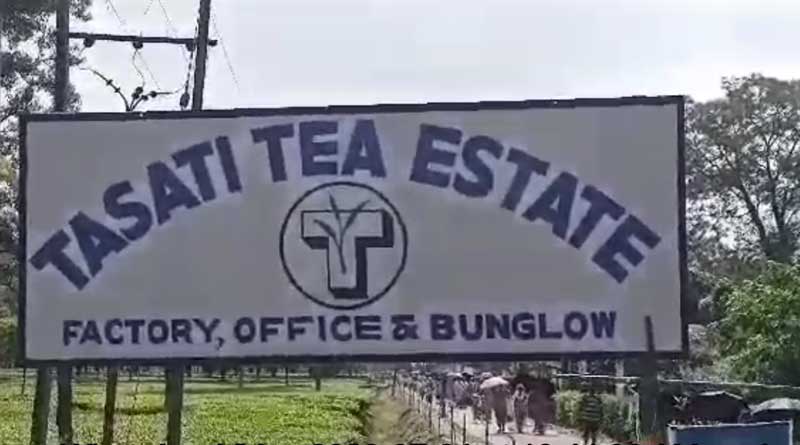 Alipurduar tea garden closed after clash with labourers and management, 1200 lost jobs | Sangbad Pratidin