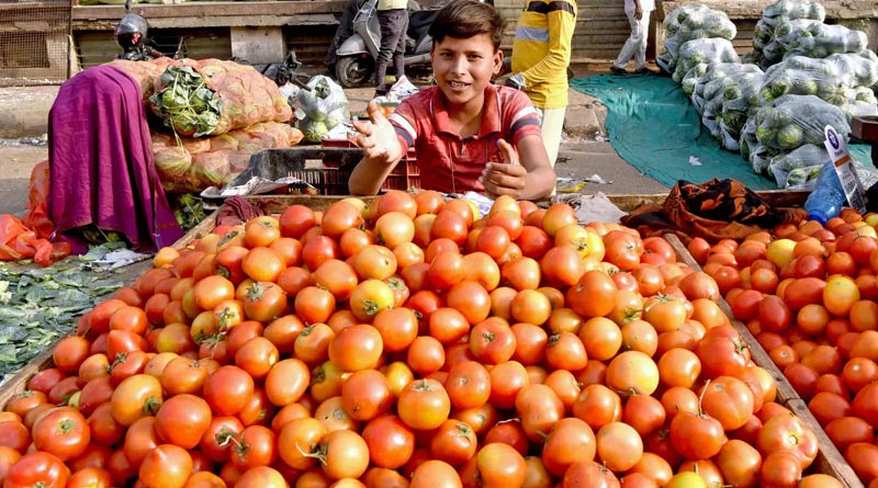Tomatoes to sell at Rs 80 per kg in Delhi-NCR, other cities | Sangbad Pratidin