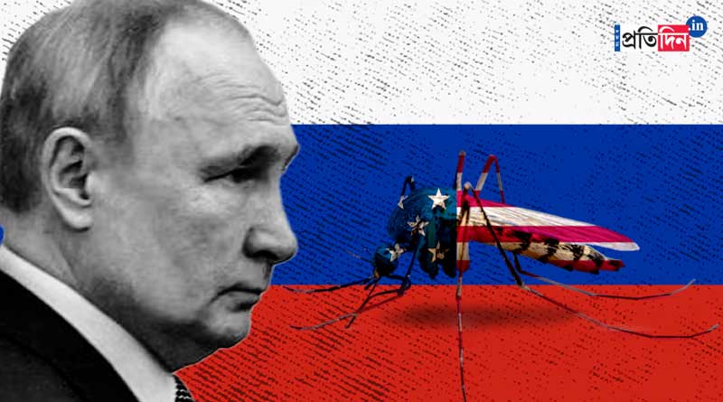 Russia fears US training genetically modified MOSQUITOES to a fresh new launch attack | Sangbad Pratidin
