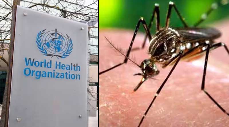 WHO again expresses anxiety on dengue situation in Bangladesh, World Bank issues $20 crores | Sangbad Pratidin