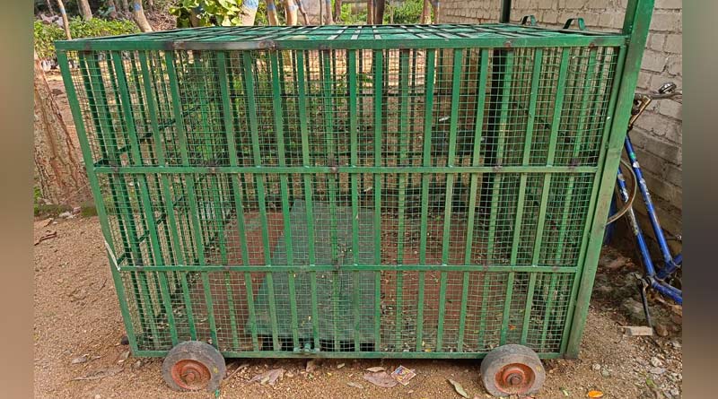 No proper equipment to protect wild life in Kotshila renge, Purulia | Sangbad Pratidin