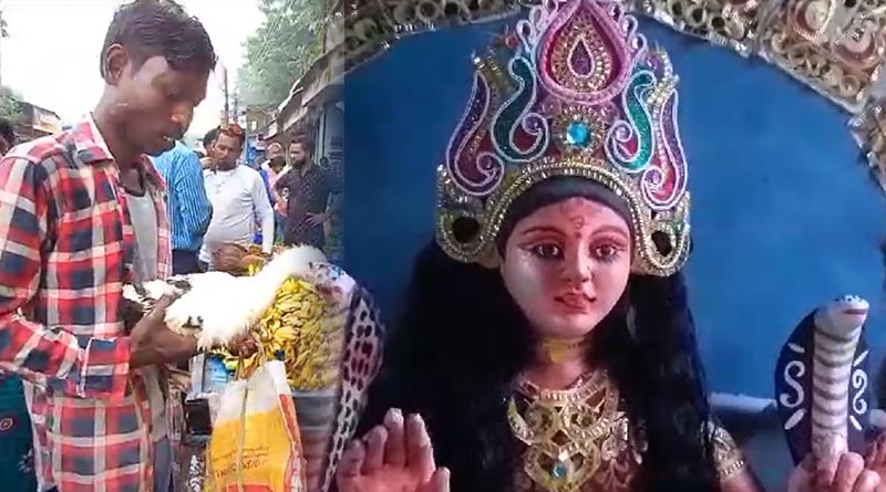 Purulia districts celebrates Manasa Puja, duck price surges | Sangbad Pratidin