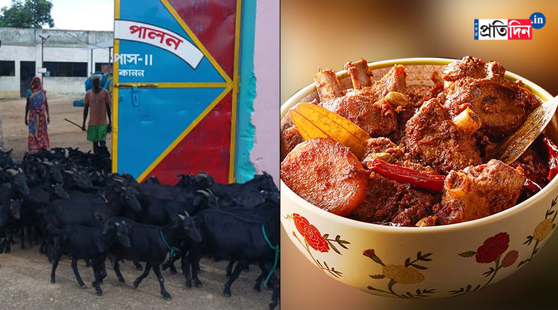 Black Bengal Goat meat available for tourists in Ayodhya Hills | Sangbad Pratidin