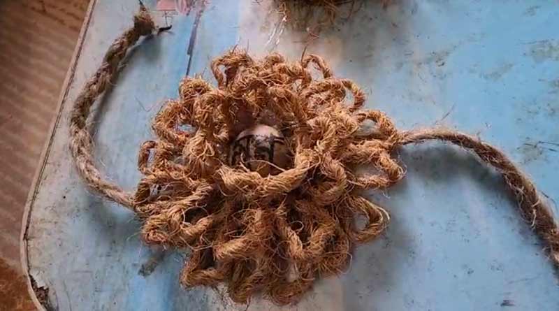 A youth of Nadia made rakhi using waste materials | Sangbad Pratidin