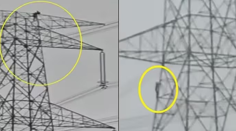 Couple climbed 80 feet tall electric tower angrily in Chhattisgarh | Sangbad Pratidin