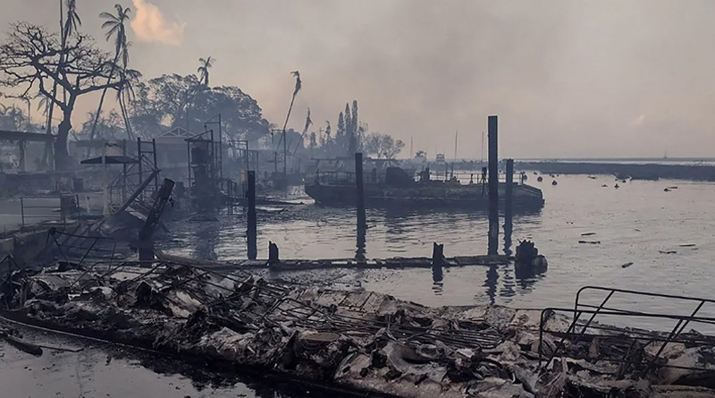Death toll of Hawaii fire reaches to 53, Joe Biden declares disaster | Sangbad Pratidin