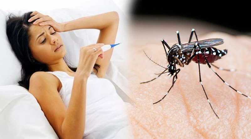 Dengue