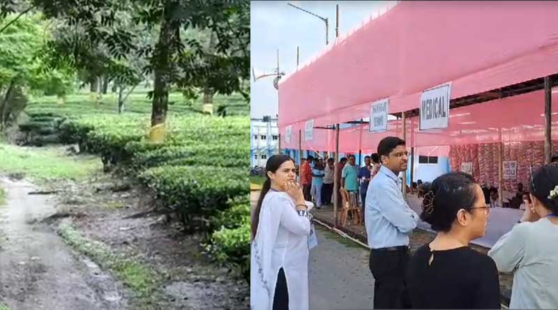 Dhupguri By Election: Dhupguri Faces Fear of Wildlife Attack Ahead of Assembly By-Election |Sangbad Pratidin