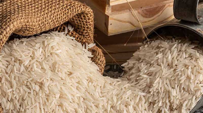 Basmati Rice will soon be replaced by Chuchuramati rice produced in Hooghly in terms of taste and smell | Sangbad Pratidin