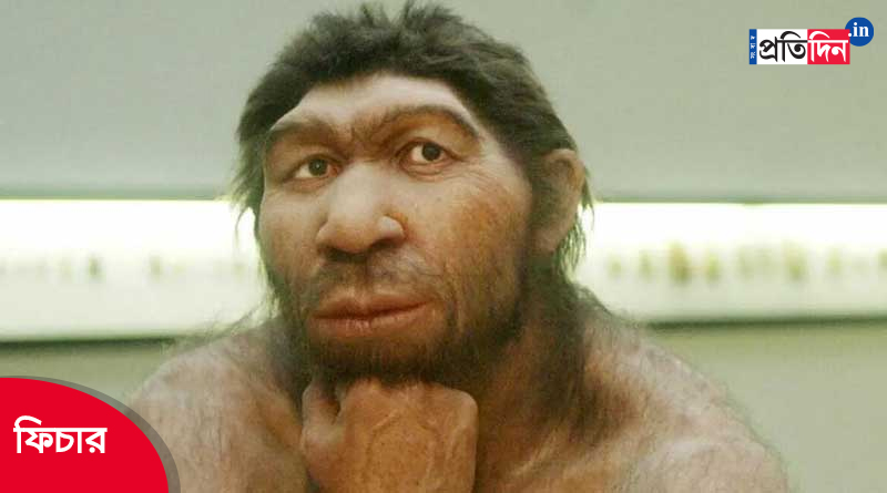 Neanderthal extinction may have been caused by physical intimacy। Sangbad Pratidin
