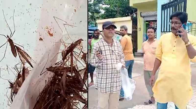 Man carries bag full of mosquitos to hospital fearing dengue attack । Sangbad Pratidin