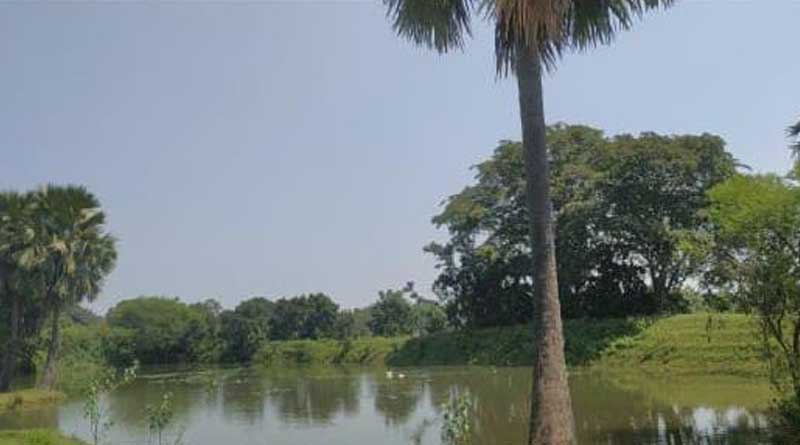 Mother allegedly kills 7 days son by drowning into the pond at Purulia | Sangabd Pratidin