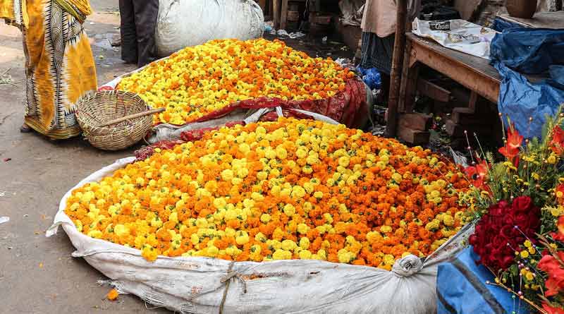 Due to depression, there is huge loss in flower cultivation। Sangbad Pratidin