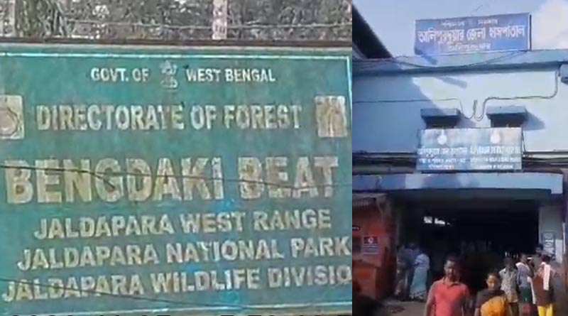 Elephant attacks and kills forest guard in Jaldapara National Forest | Sangbad Pratidin