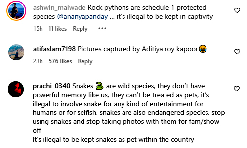 Ananya-snake