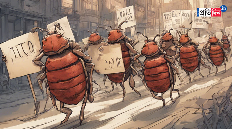 South Korea is battling a bedbug outbreak। Sangbad Pratidin