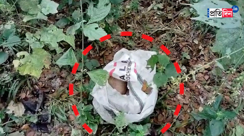 Many bombs found from Bhangar, spat over TMC and ISF | Sangbad Pratidin