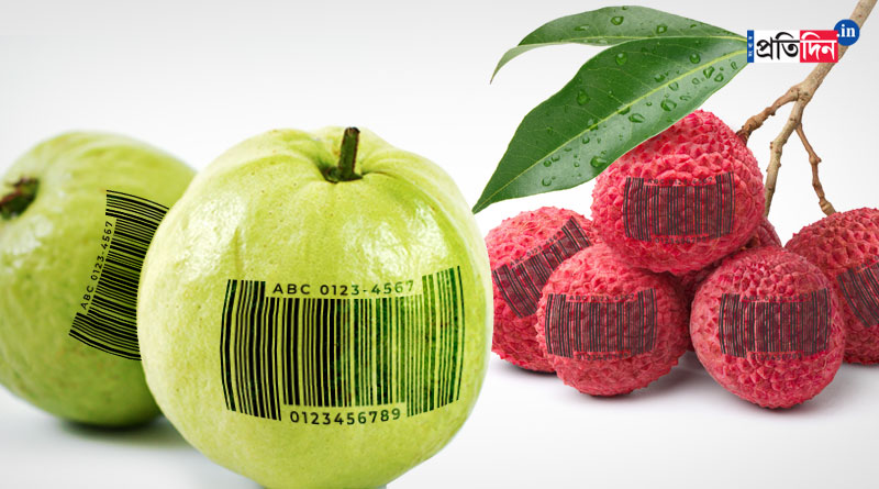 WB Govt applied for GI tag for Baruipur's Guava | Sangbad Pratidin