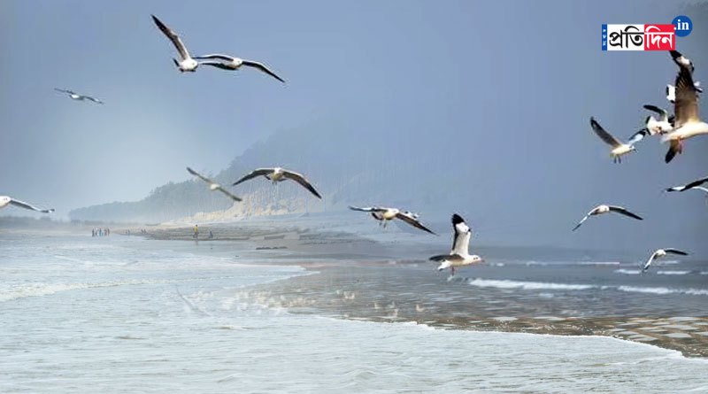 Migratory birds are not seen even in the beginning of winter in Digha | Sangbad Pratidin
