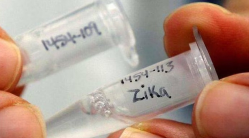 1 person tests positive for Zika virus in Karnataka। Sangbad Pratidin