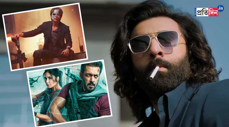 Animal box office collection: Ranbir Kapoor's film cross 800 crore | Sangbad Pratidin