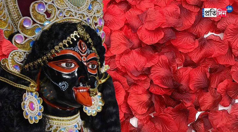 Plastic Hibiscus takes market in Kali Puja। Sangbad Pratidin