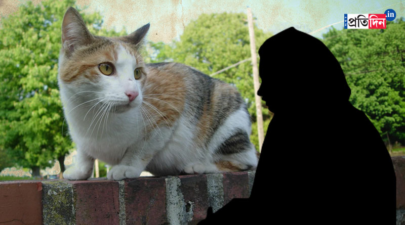 Woman fell from 7th floor after trying to catch her pet cat, died | Sangbad Pratidin