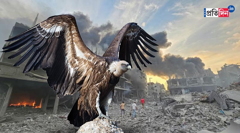 Israel Using Eagles and Vultures To Locate Dead Bodies | Sangbad Pratidin
