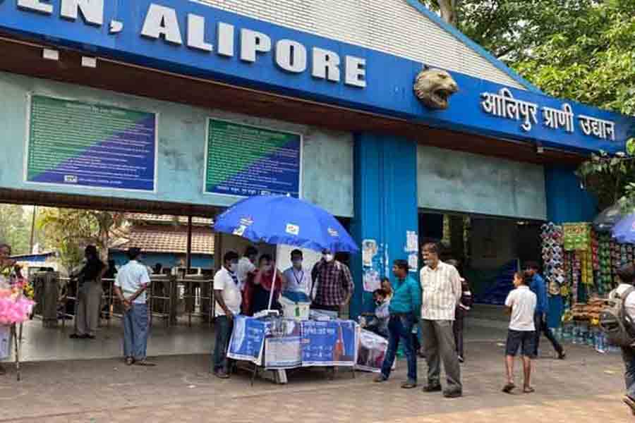 Alipore Zoo's digital library to be launched this month