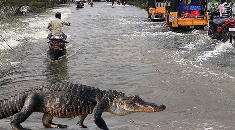 Chennai