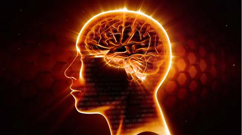 Scientists Combine Lab-Grown Brain Tissues With Computer | Sangbad Pratidin