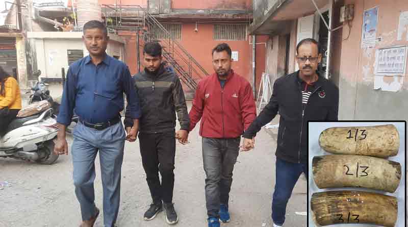 2 arrested while smuggling ivory worth 11 crore | Sangbad Pratidin